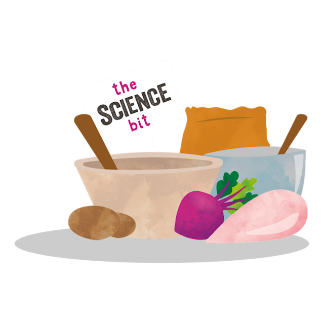 TheScienceBit EN