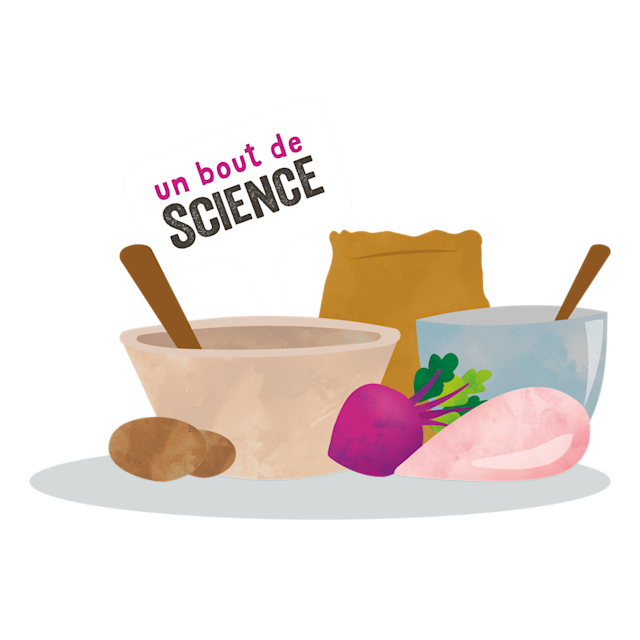 TheScienceBit FR