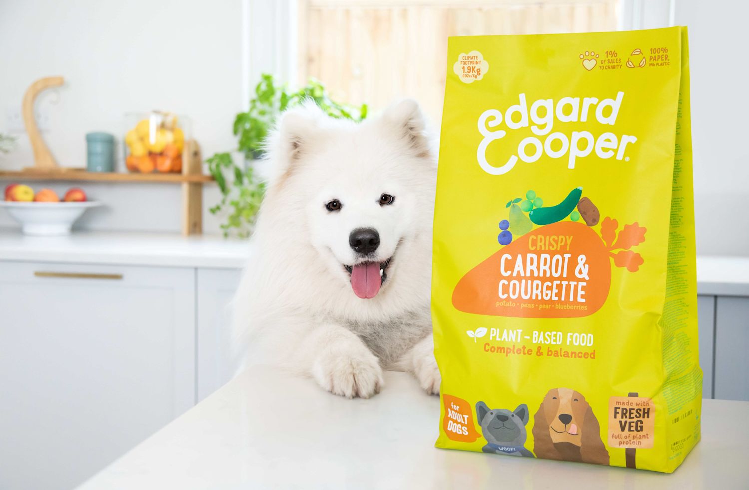 dogWithPlantBasedKibbles