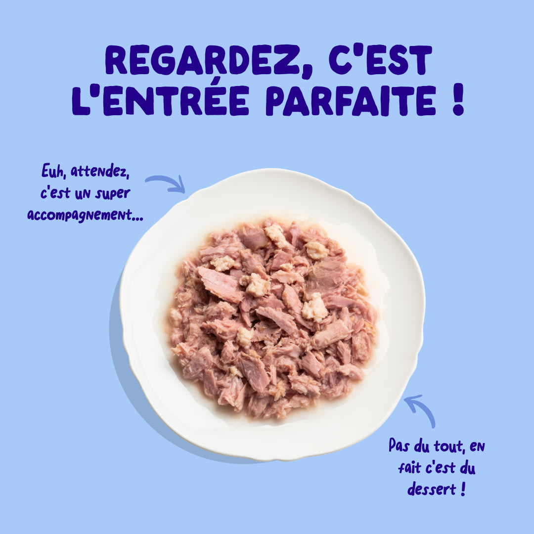 4 Cat-Fillets DTC FR TunaChicken TopView