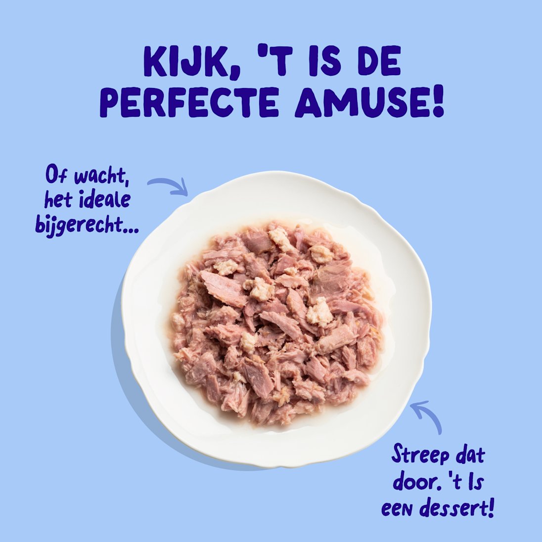 4 Cat-Fillets DTC NL TunaChicken TopView