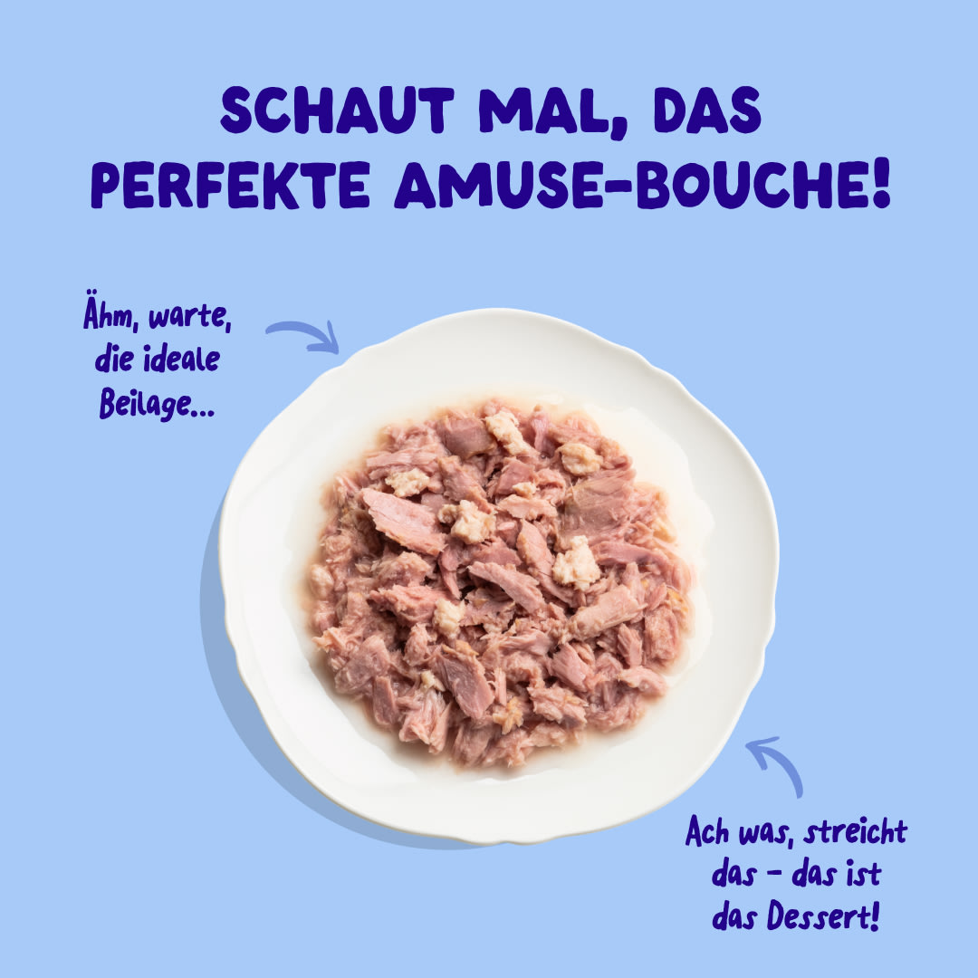 4 Cat-Fillets DTC DE TunaChicken TopView