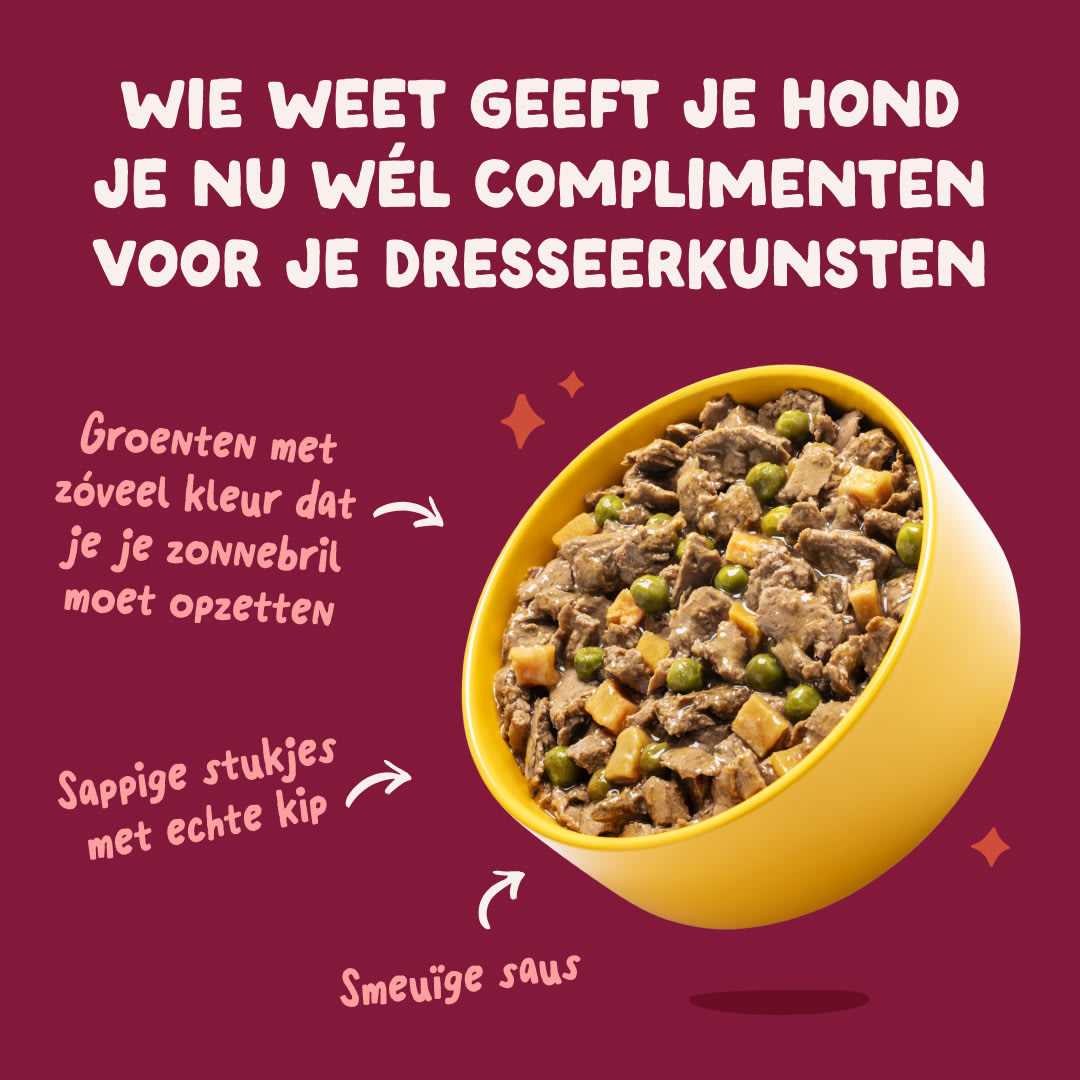 2 DWD D2C NL SeniorChicken Product & Use