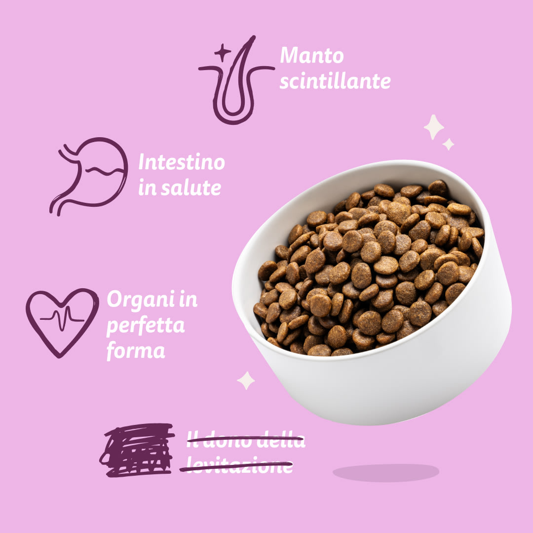 7 Dog-Refresh DTC-Assets IT Adult-Venison BENEFITS