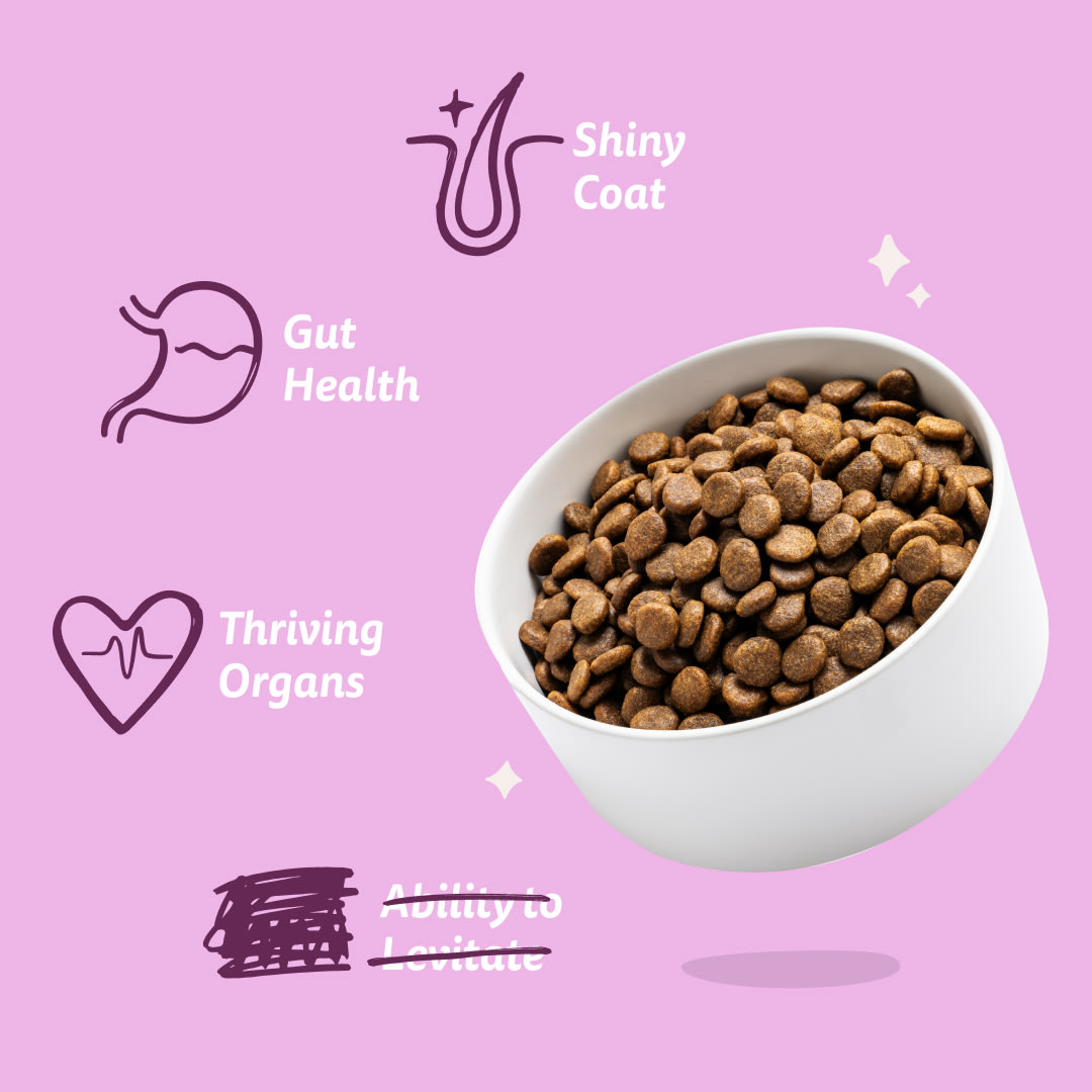 7 Dog-Refresh DTC-Assets EN Adult-Venison BENEFITS