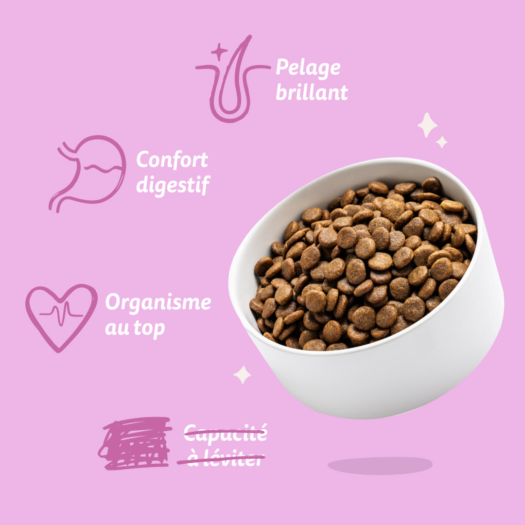 7 Dog-Refresh DTC-Assets FR Adult-Venison BENEFITS