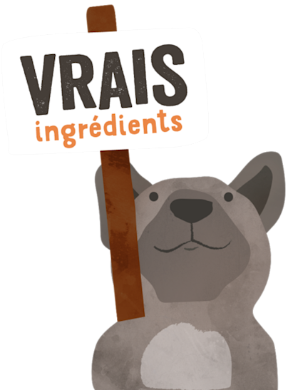 RealIngredients FR