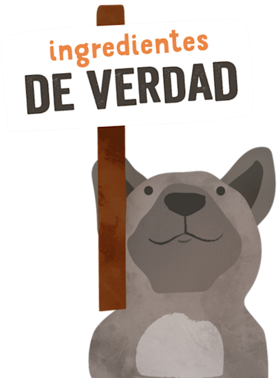 RealIngredients ES