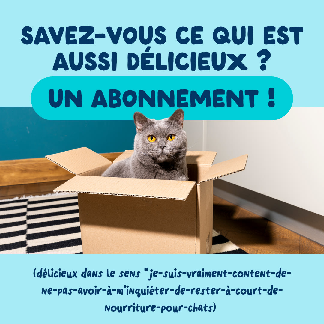 9 Cat-Fillets DTC FR TunaSquid Subscription