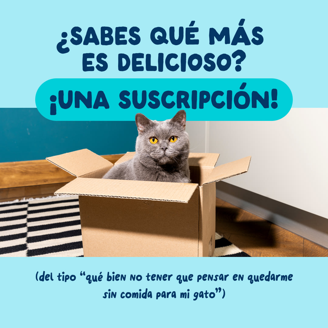 9 Cat-Fillets DTC ES TunaSquid Subscription