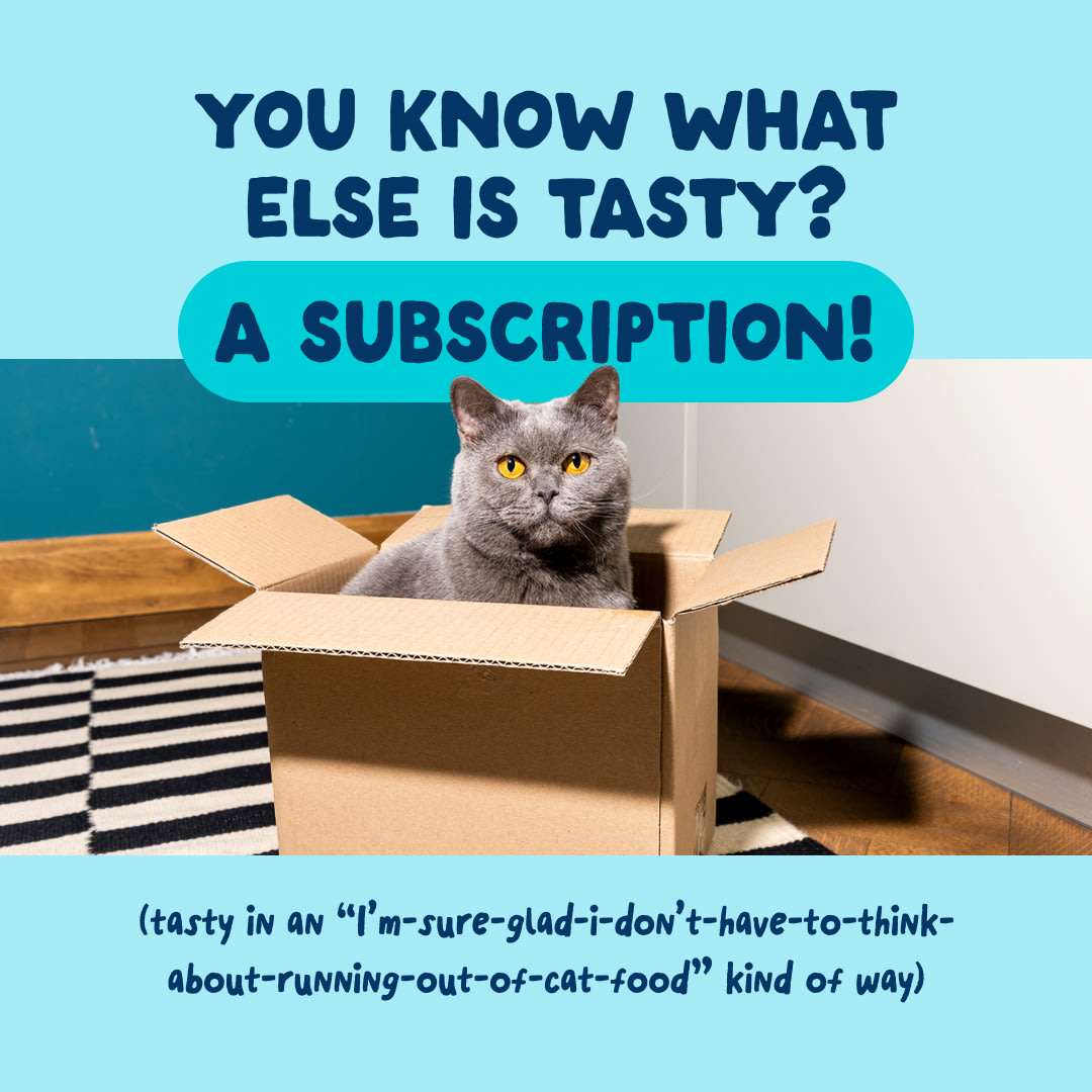 9 Cat-Fillets DTC EXP TunaSquid Subscription