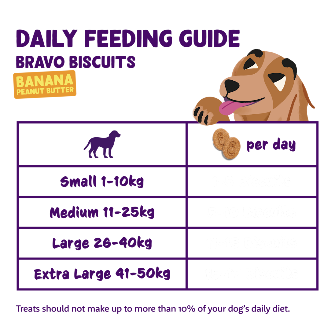 Feeding - Dog All Biscuits Banana Peanut EN