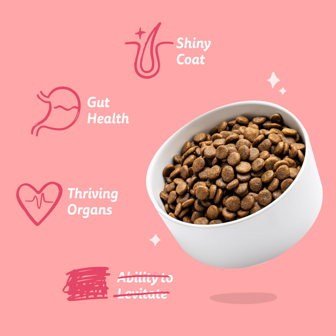 7 Dog-Refresh DTC-Assets EN Organic-Beef BENEFITS