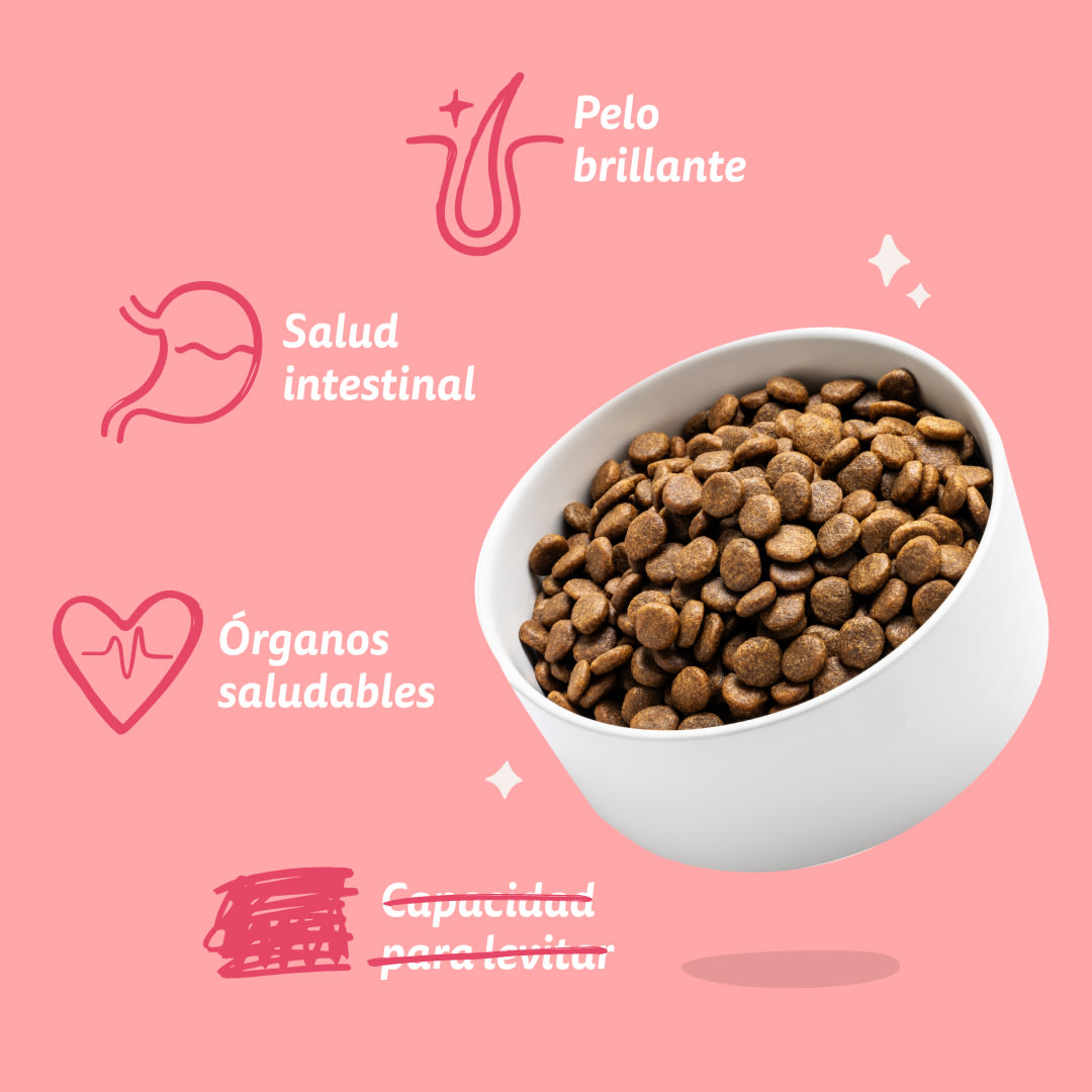 7 Dog-Refresh DTC-Assets ES Organic-Beef BENEFITS