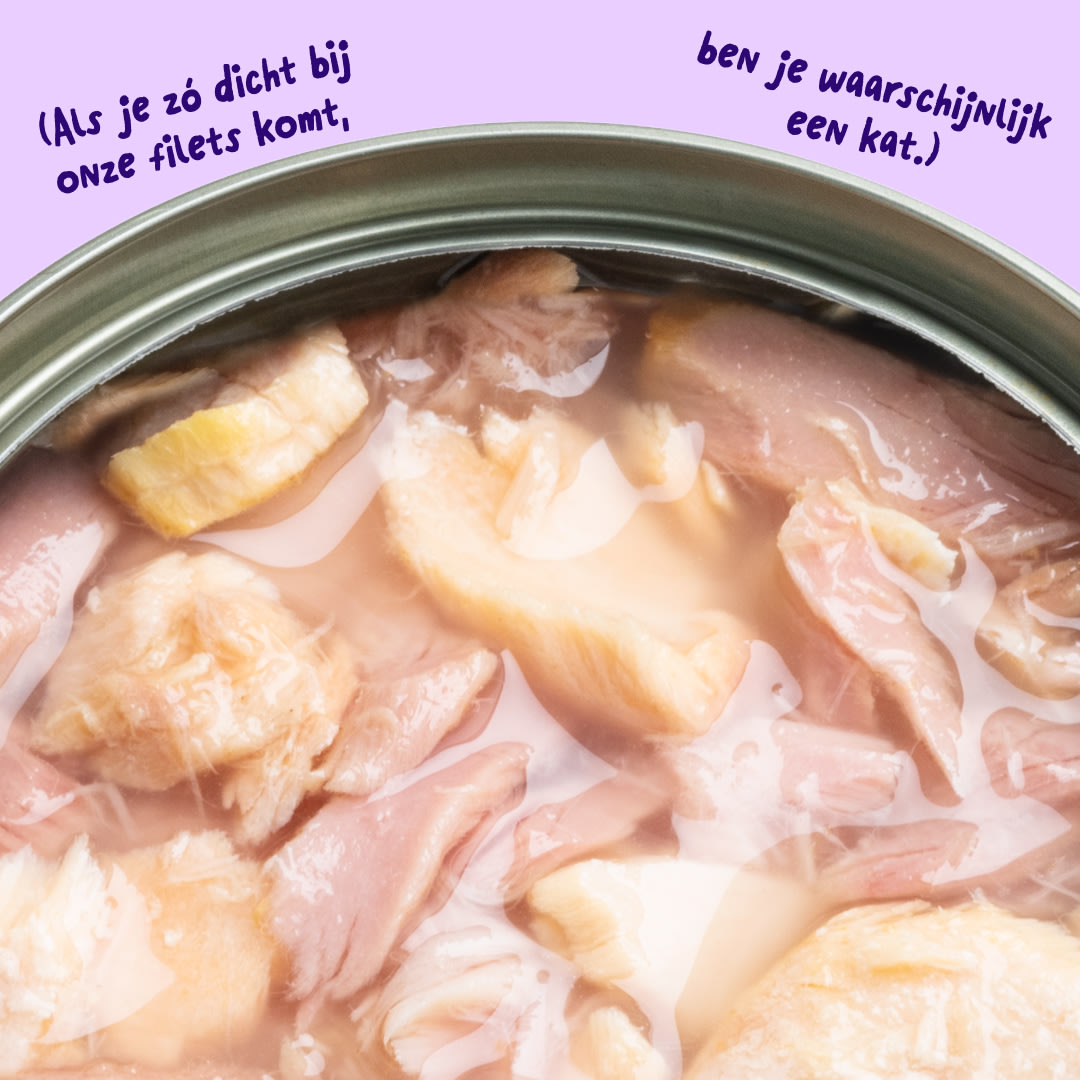 6 Cat-Fillets DTC NL SalmonTuna Texture