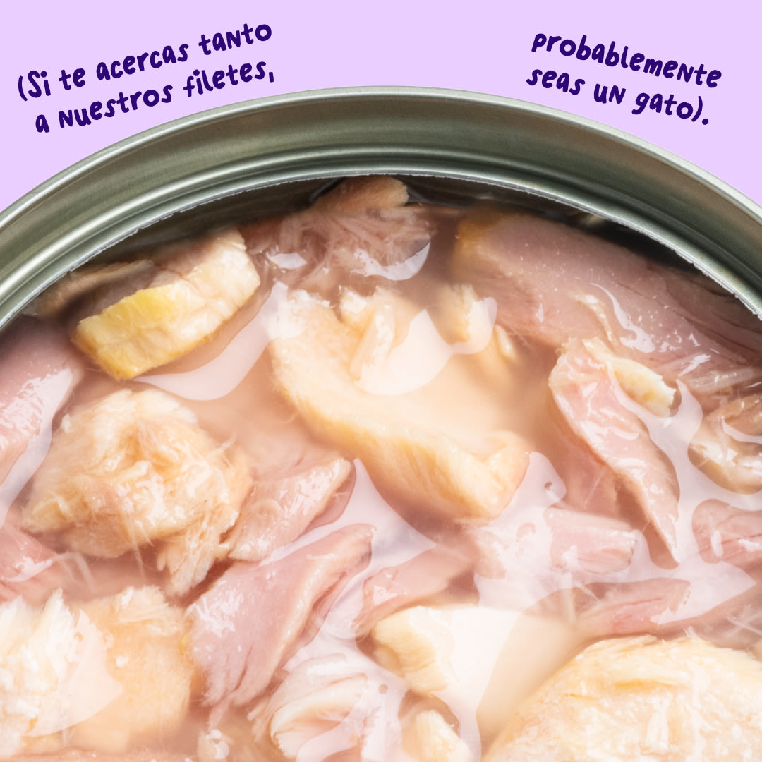 6 Cat-Fillets DTC ES SalmonTuna Texture