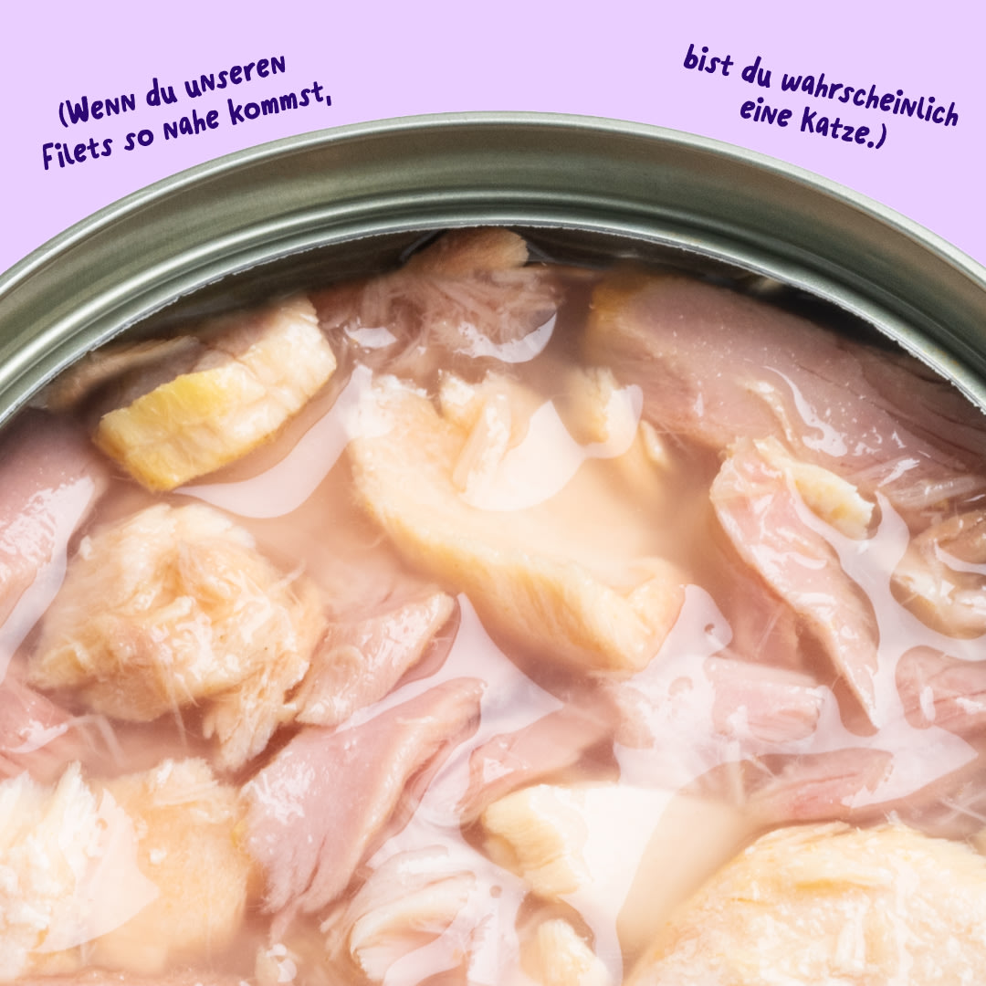 6 Cat-Fillets DTC DE SalmonTuna Texture