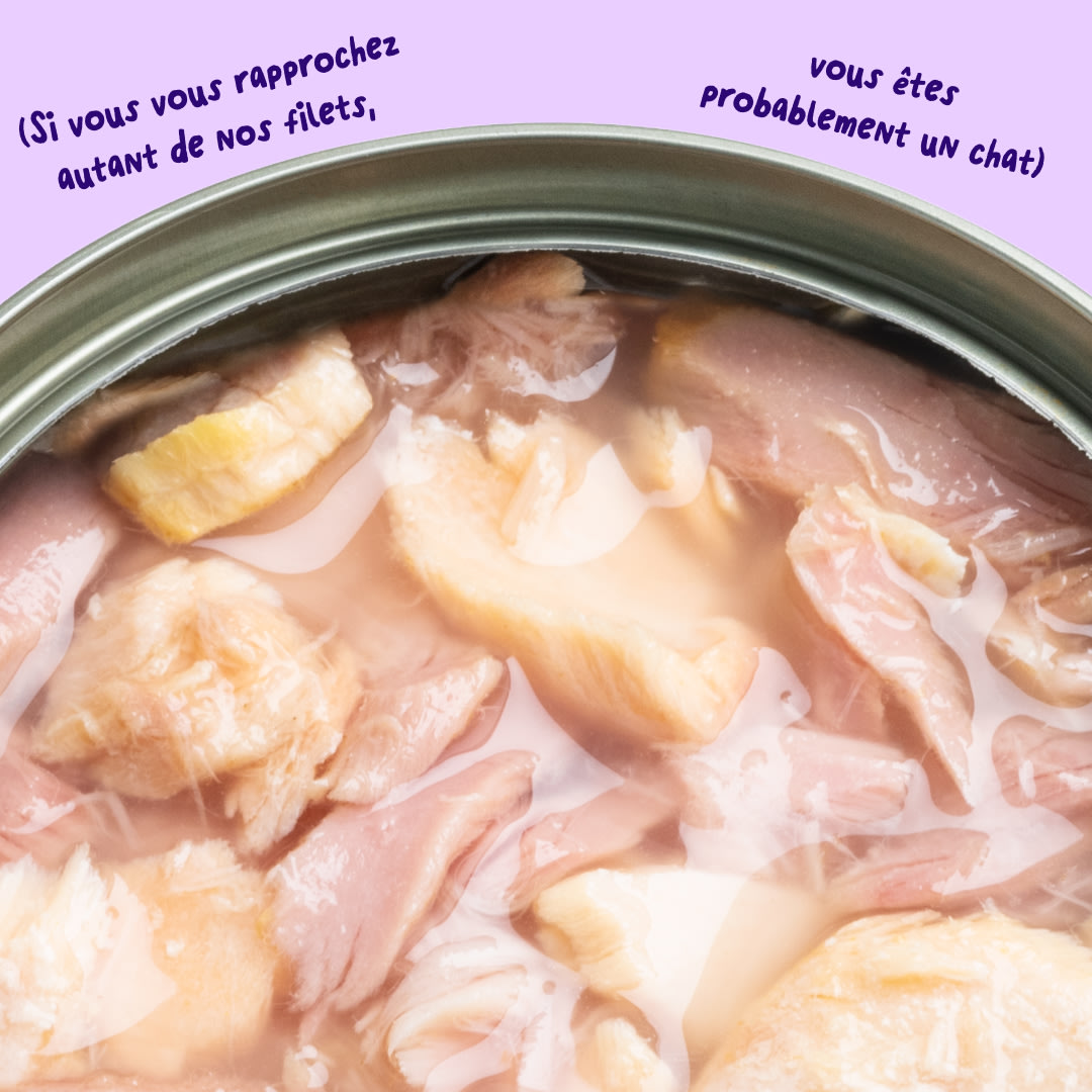 6 Cat-Fillets DTC FR SalmonTuna Texture