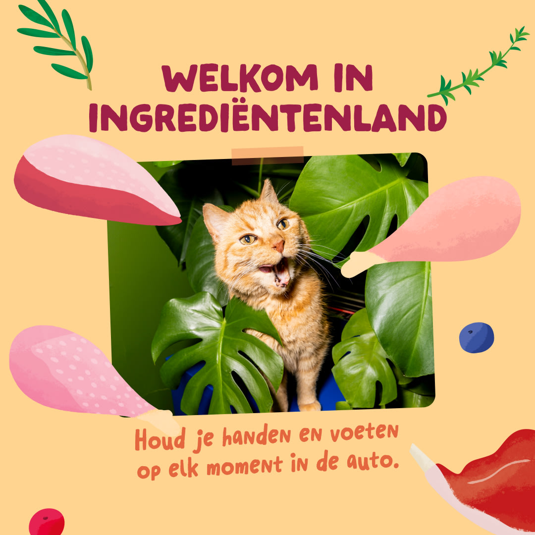 6 Chunks-Pouches DTC NL MeatMP Ingredients
