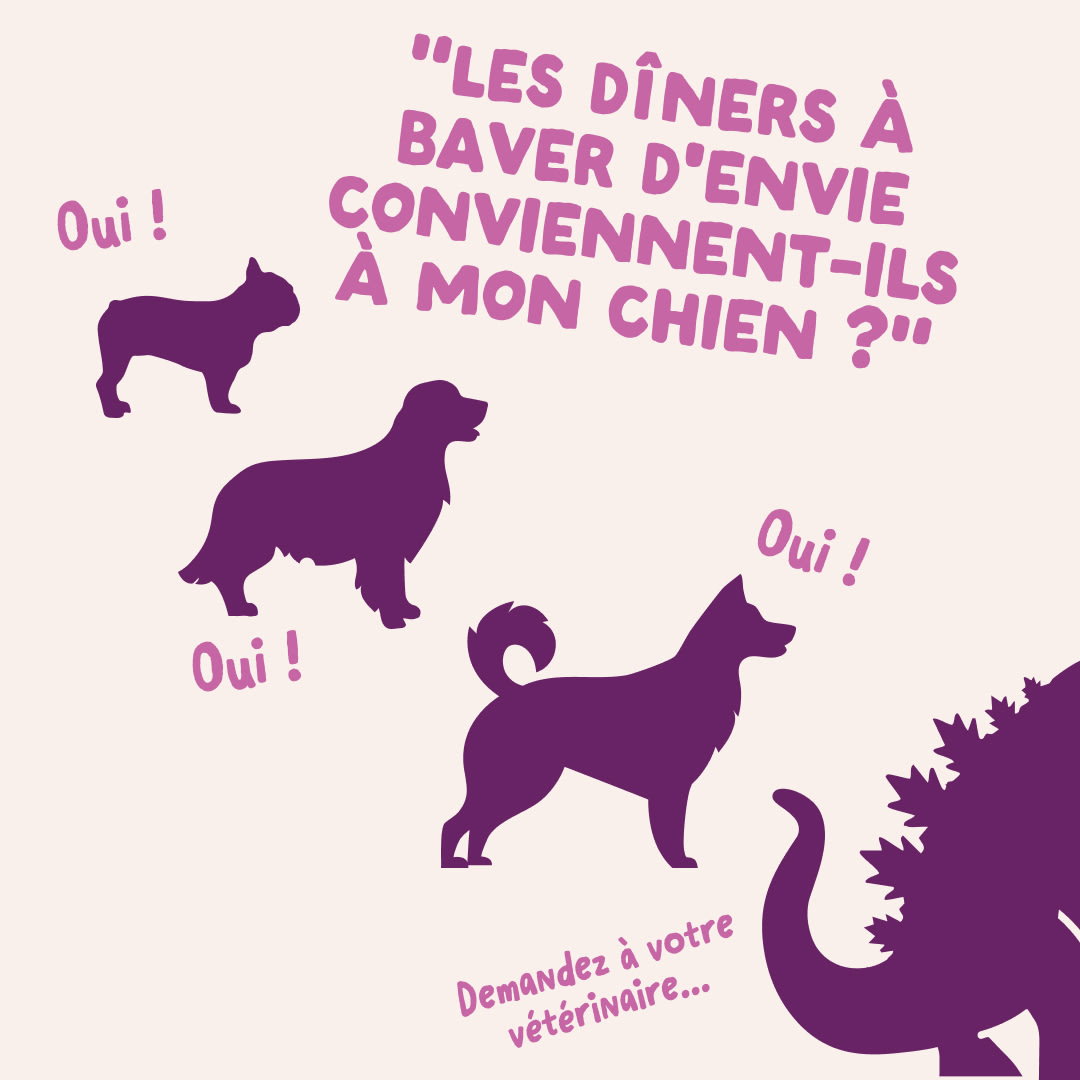 8 DWD D2C FR WildBoar Size
