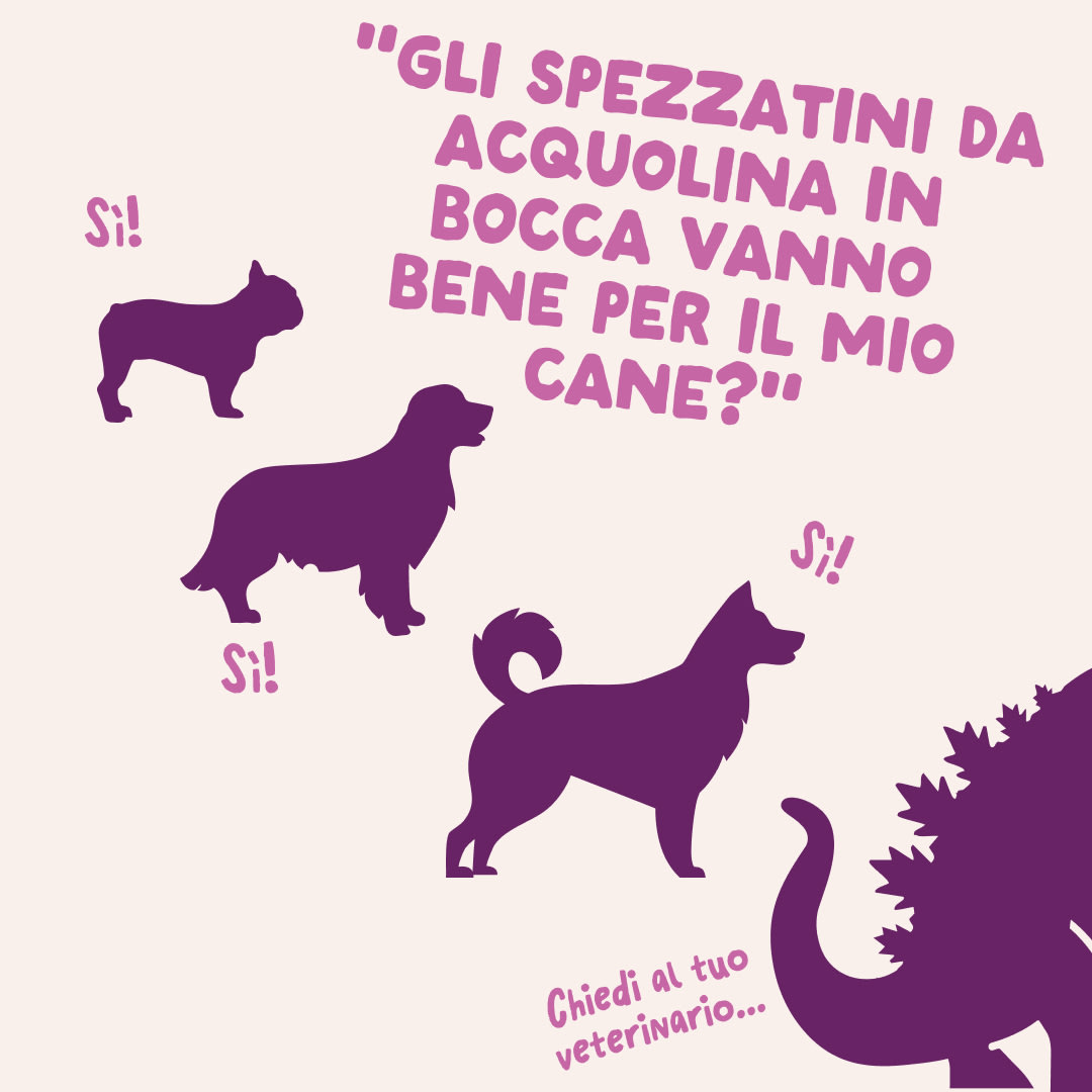 8 DWD D2C IT WildBoar Size