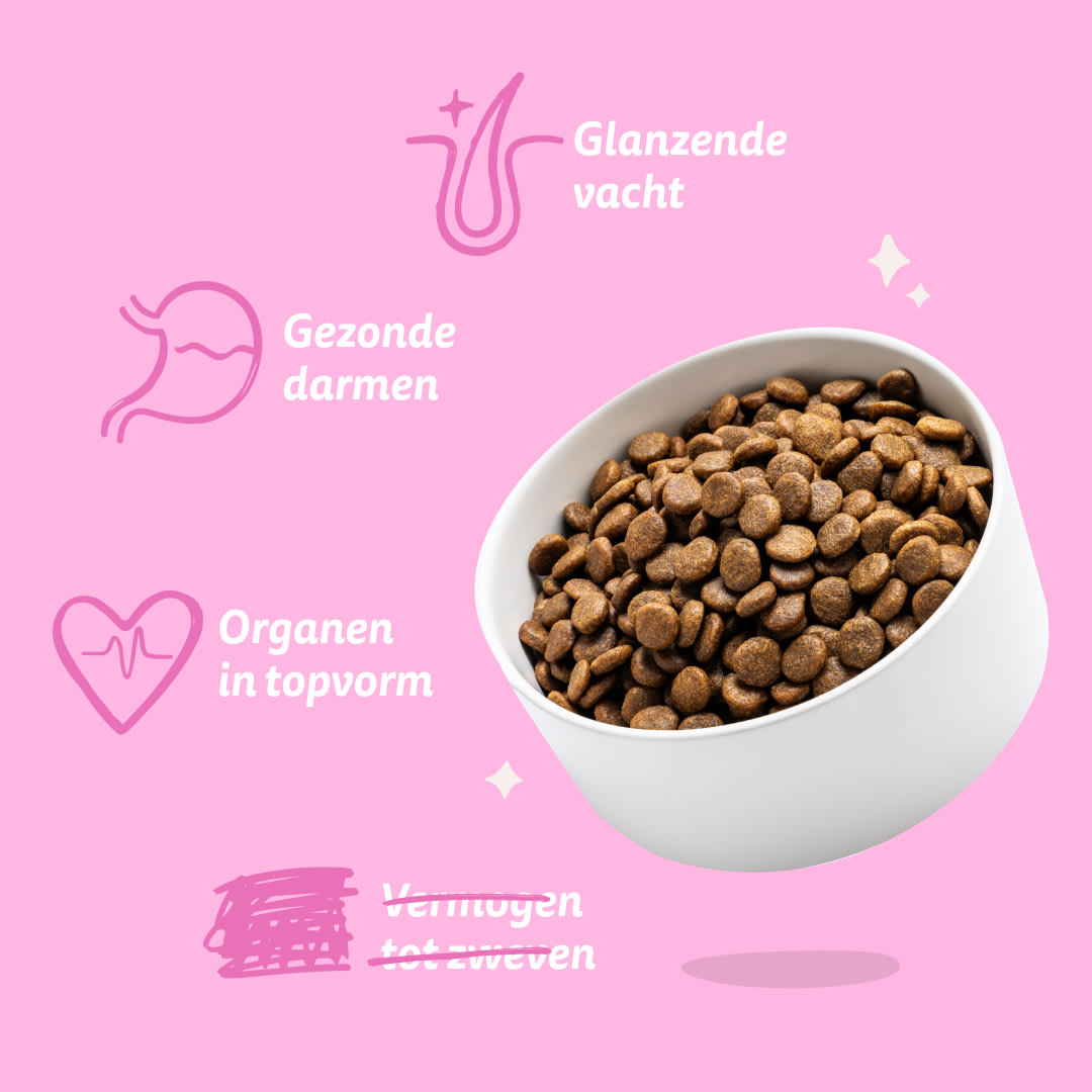 7 Dog-Refresh DTC-Assets NL Adult-Carrot BENEFITS