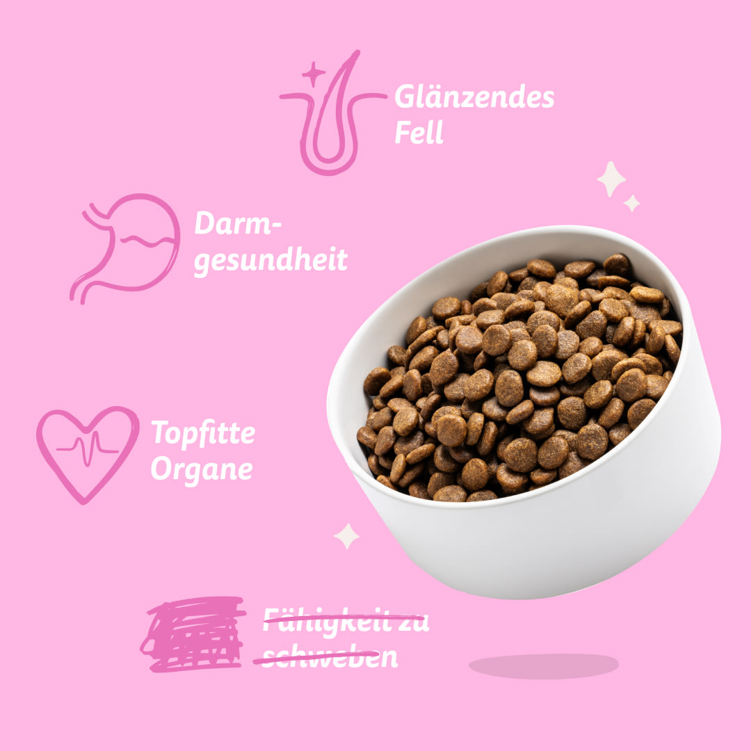 7 Dog-Refresh DTC-Assets DE Adult-Beetroot BENEFITS