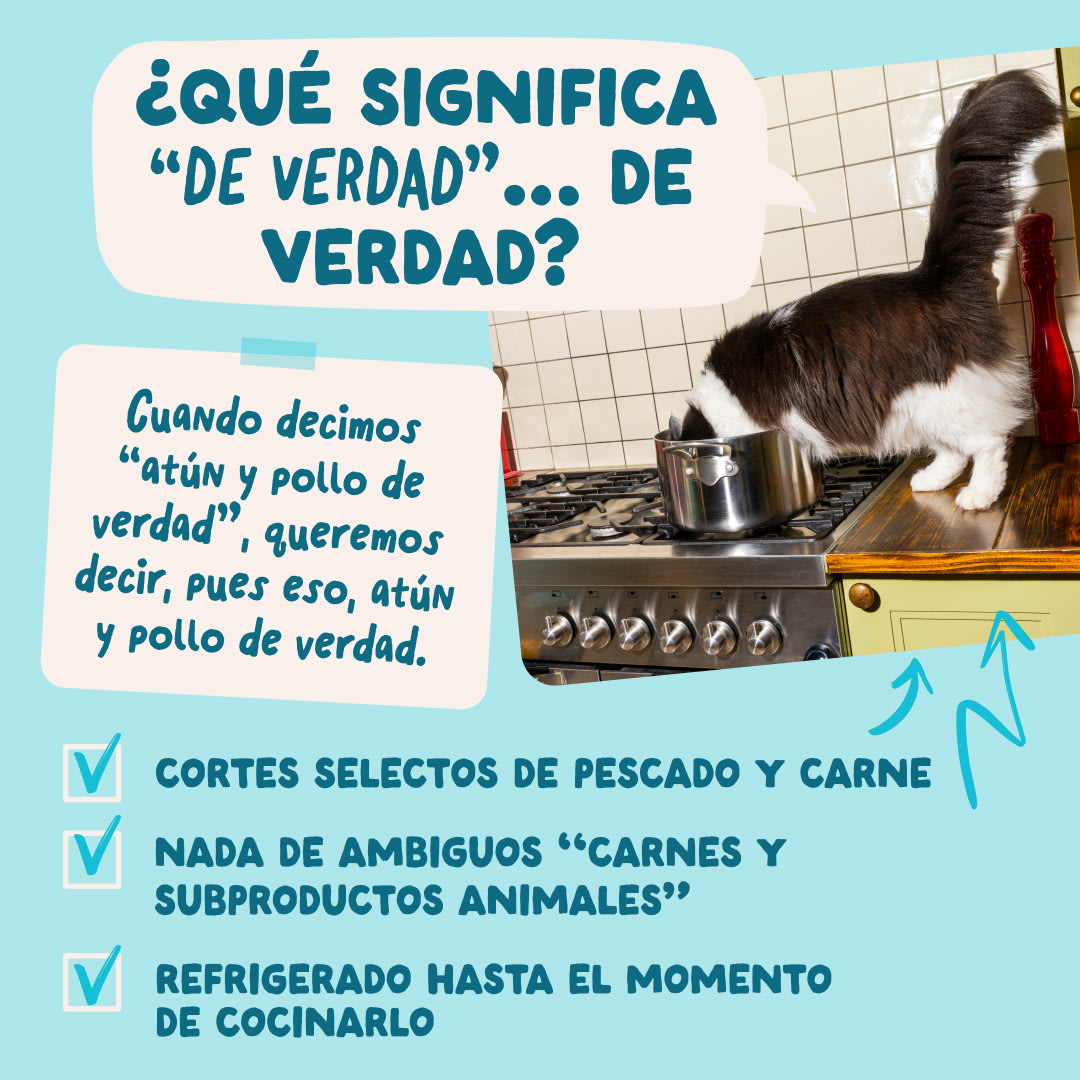 5 Chunks-Pouches DTC ES Tuna RealMeatFish