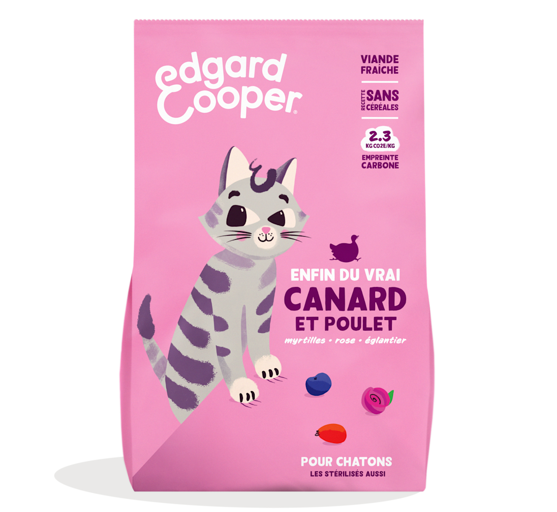 Pack - Cat Junior Kibble Duck Chicken FR