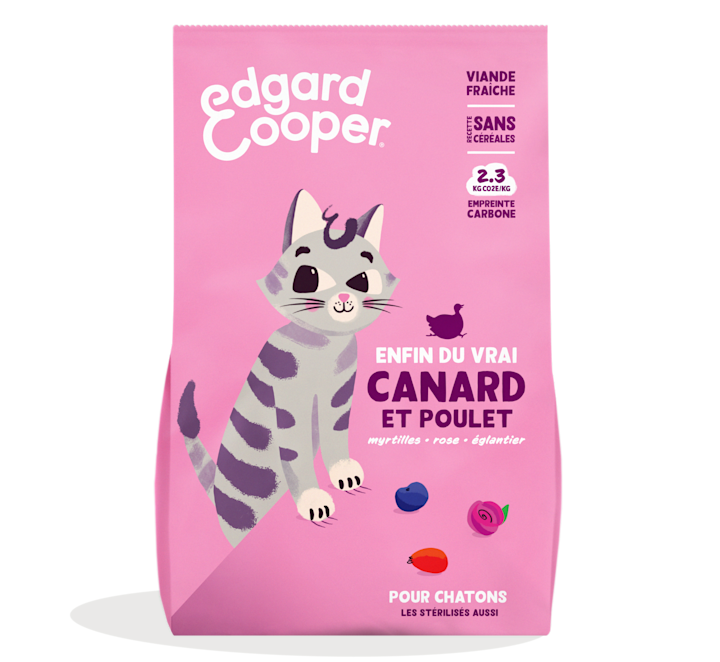 Pack - Cat Junior Kibble Duck Chicken FR