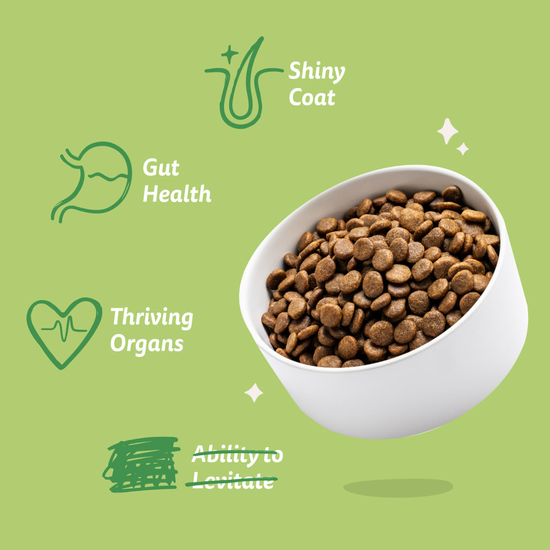 7 Dog-Refresh DTC-Assets EN Adult-Lamb BENEFITS