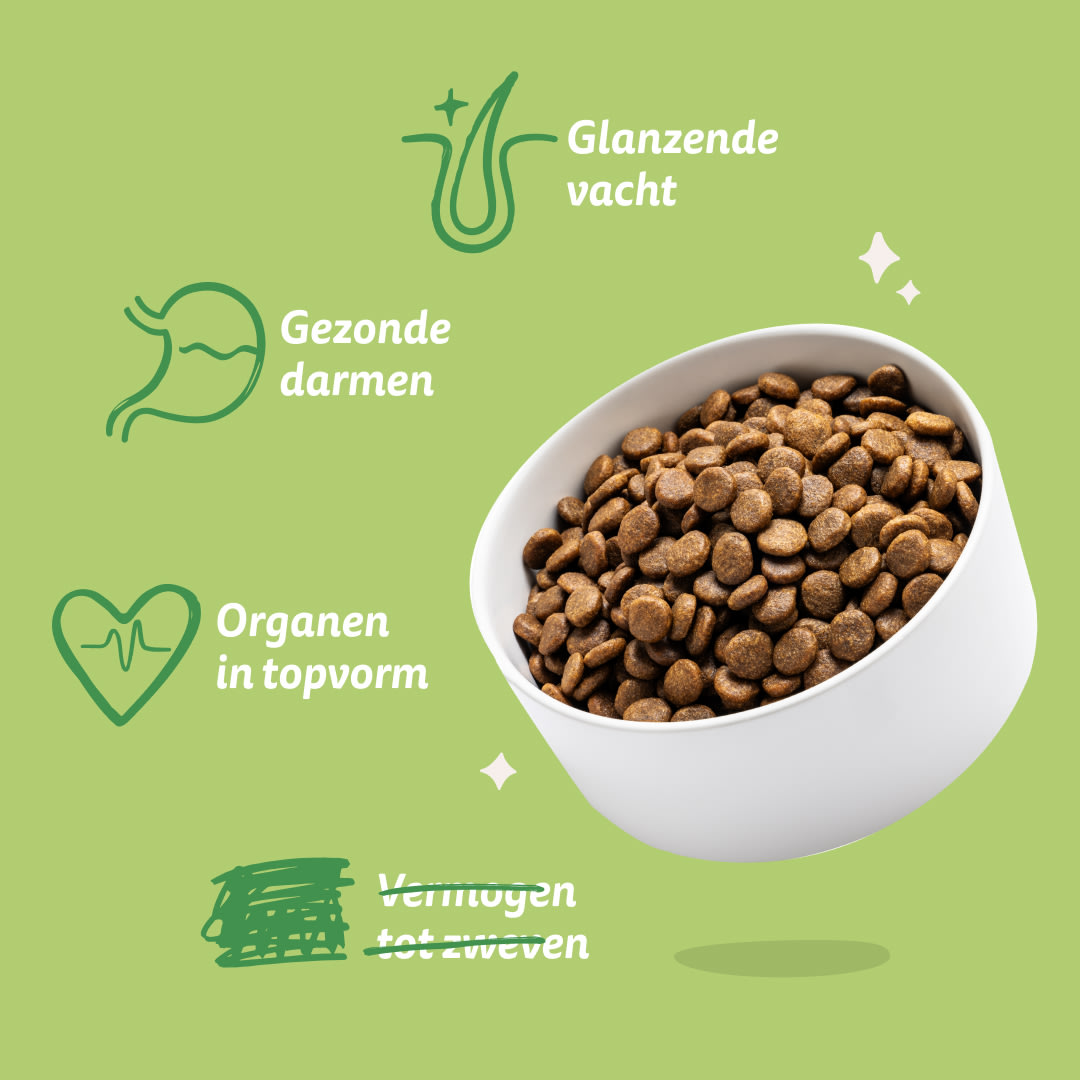 7 Dog-Refresh DTC-Assets NL Adult-Lamb BENEFITS