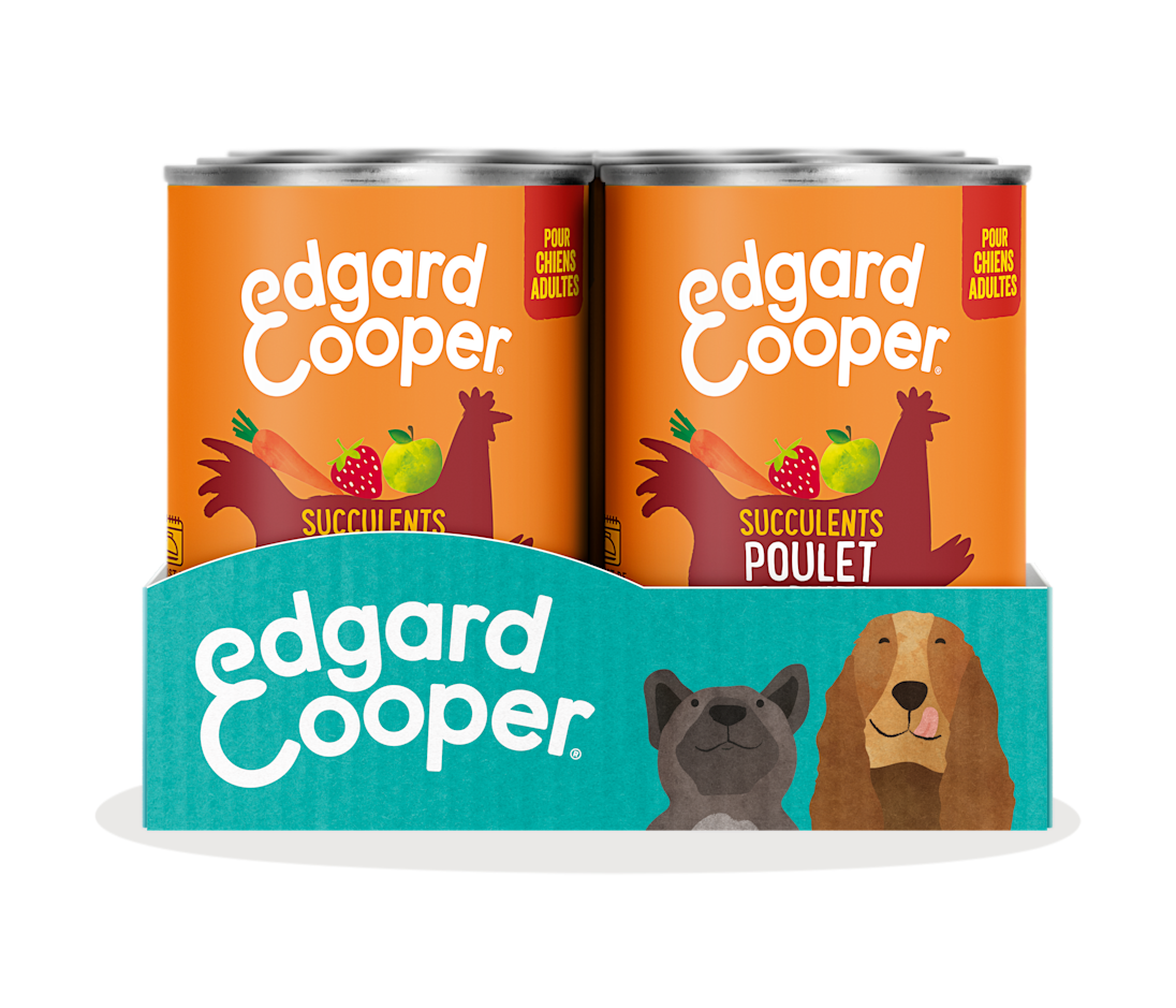 Pack - Dog Adult Paté Tin Chicken Turkey SRP FR
