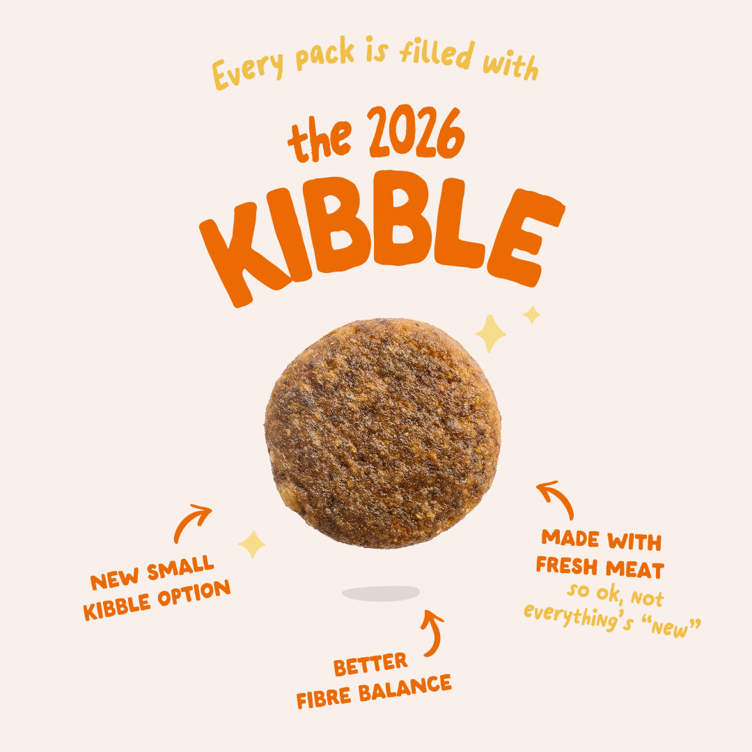 3 Dog-Refresh DTC-Assets EN Organic-Turkey 2026 KIBBLE