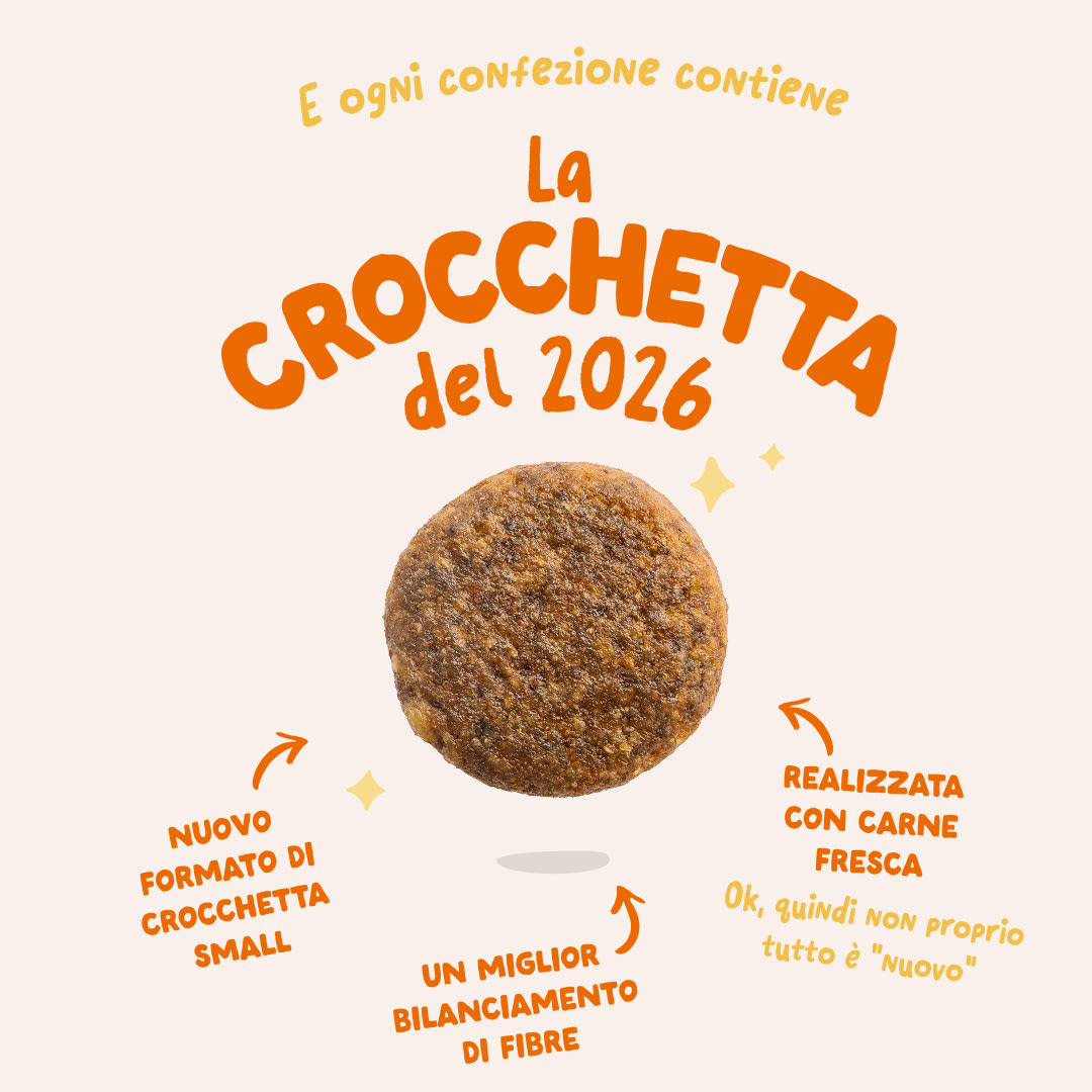 3 Dog-Refresh DTC-Assets IT Organic-Turkey 2026 KIBBLE