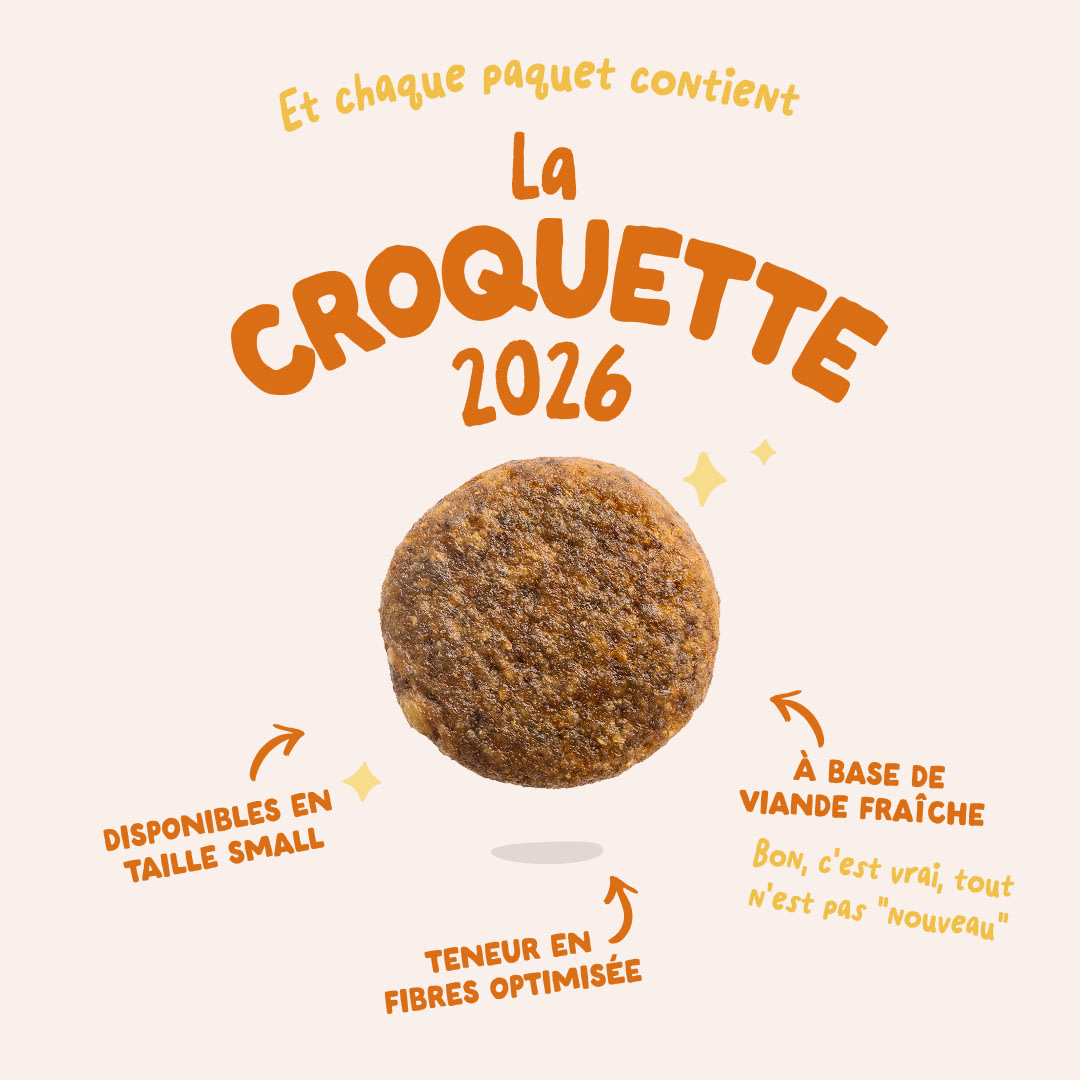 2026 KIBBLE