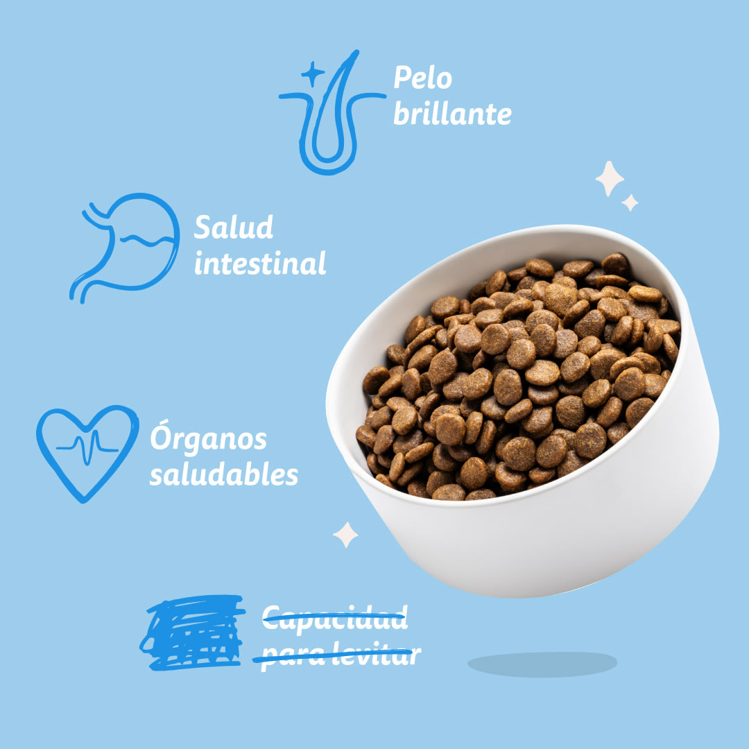 7 Dog-Refresh DTC-Assets ES Adult-Salmon BENEFITS