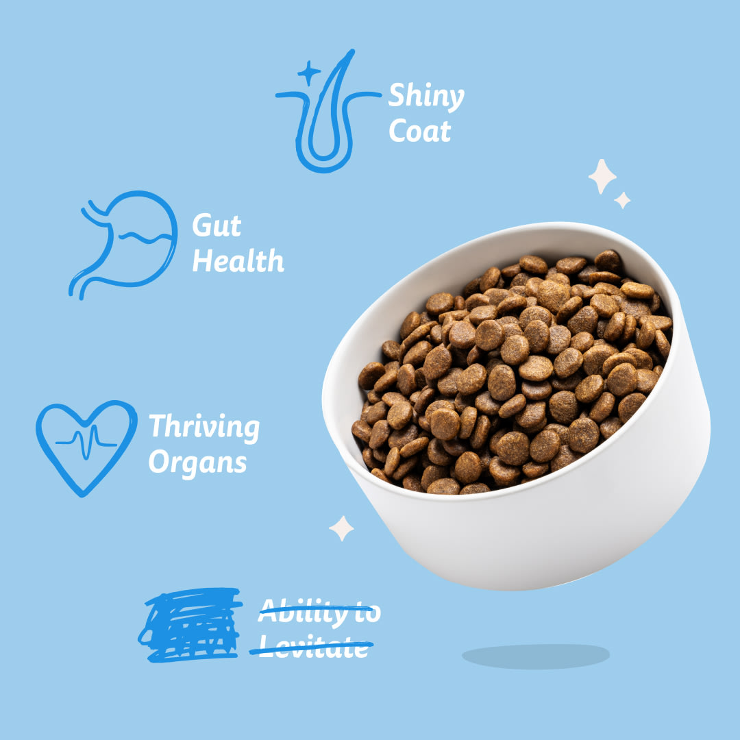 7 Dog-Refresh DTC-Assets Adult-Salmon BENEFITS