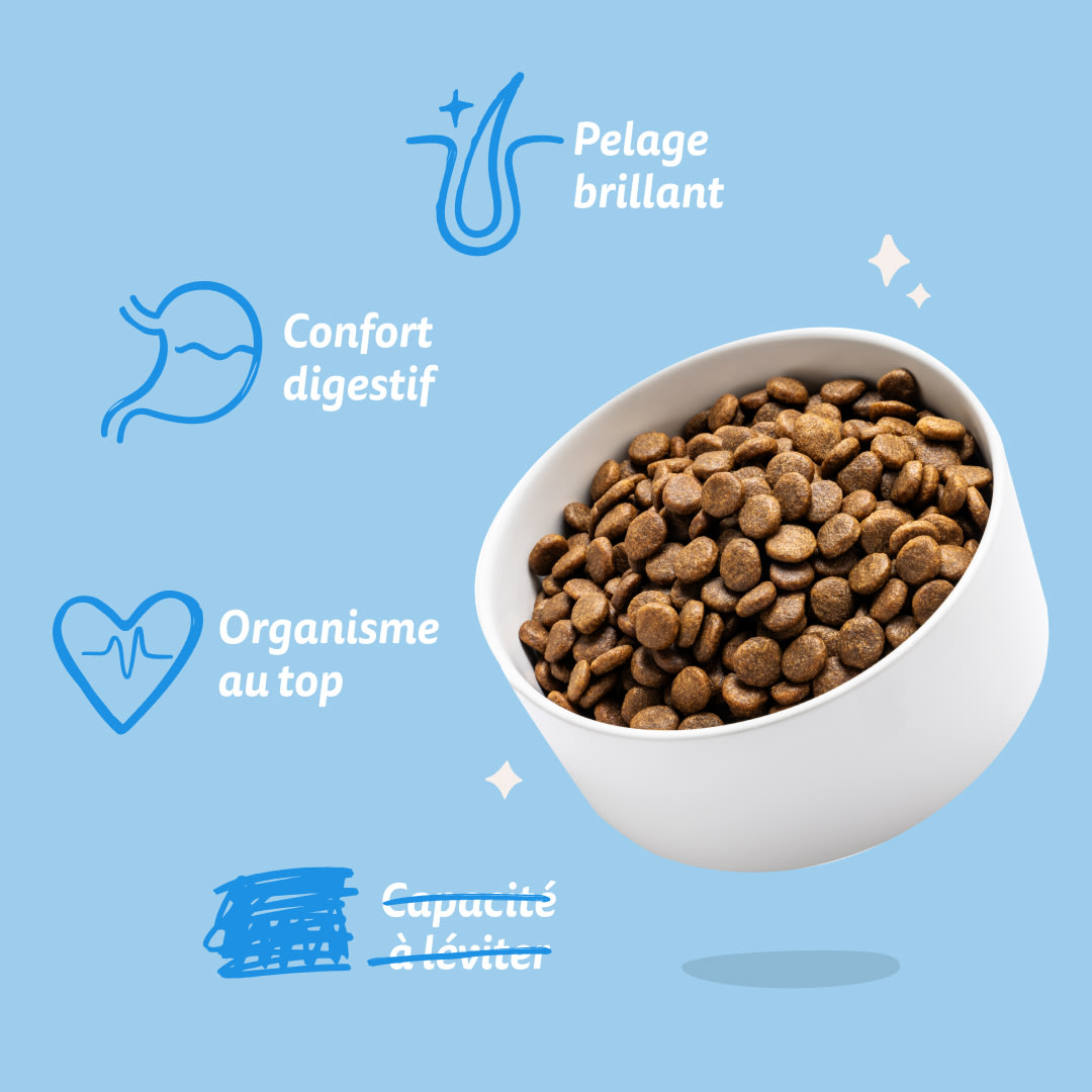 7 Dog-Refresh DTC-Assets FR Adult-Salmon BENEFITS