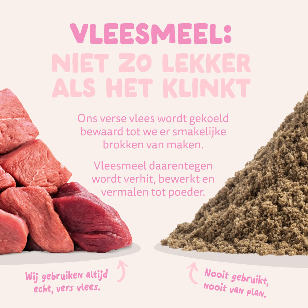 11 Dog-Refresh DTC-Assets NL Puppy-Duck MEAT-VS-MEAT MEAL