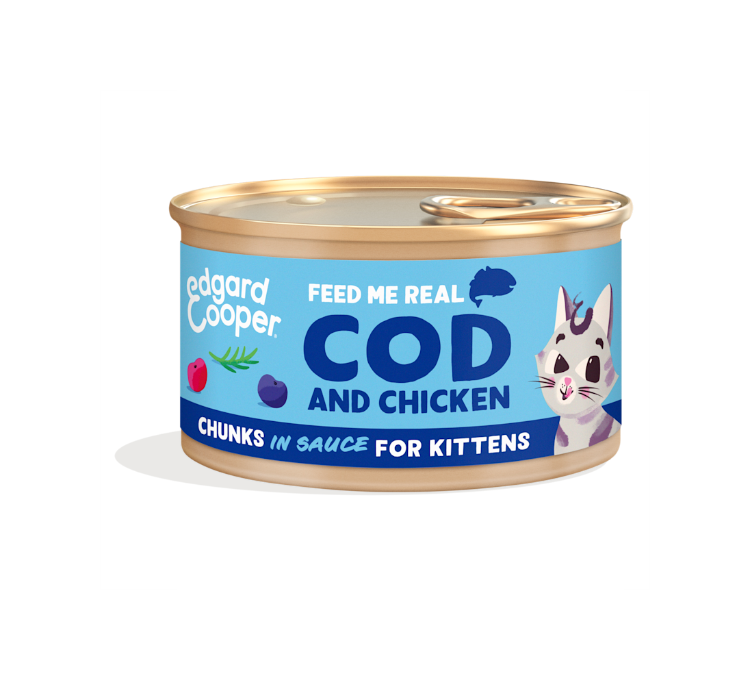 Cod and Chicken Grain-Free Chunks In Gravy for Kittens | Edgard & Cooper