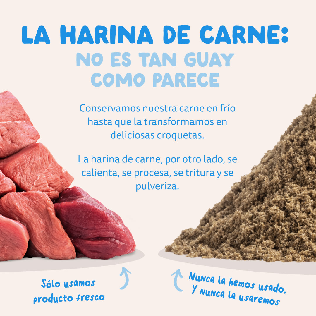 11 Dog-Refresh DTC-Assets ES Adult-Salmon MEAT-VS-MEAT MEAL