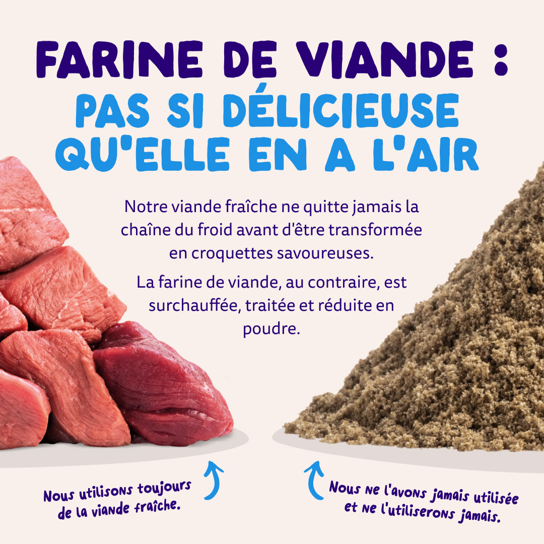 11 Dog-Refresh DTC-Assets FR Adult-Salmon MEAT-VS-MEAT MEAL