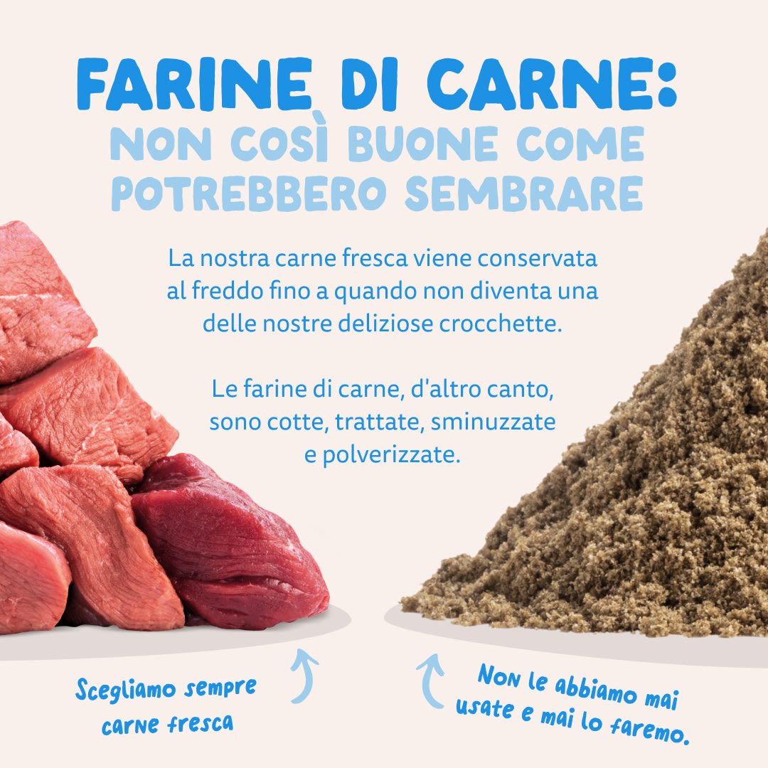 11 Dog-Refresh DTC-Assets IT Adult-Salmon MEAT-VS-MEAT MEAL