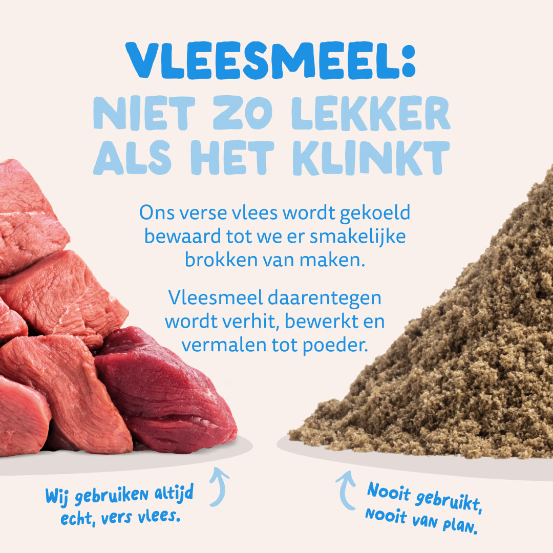 11 Dog-Refresh DTC-Assets NL Adult-Salmon MEAT-VS-MEAT MEAL