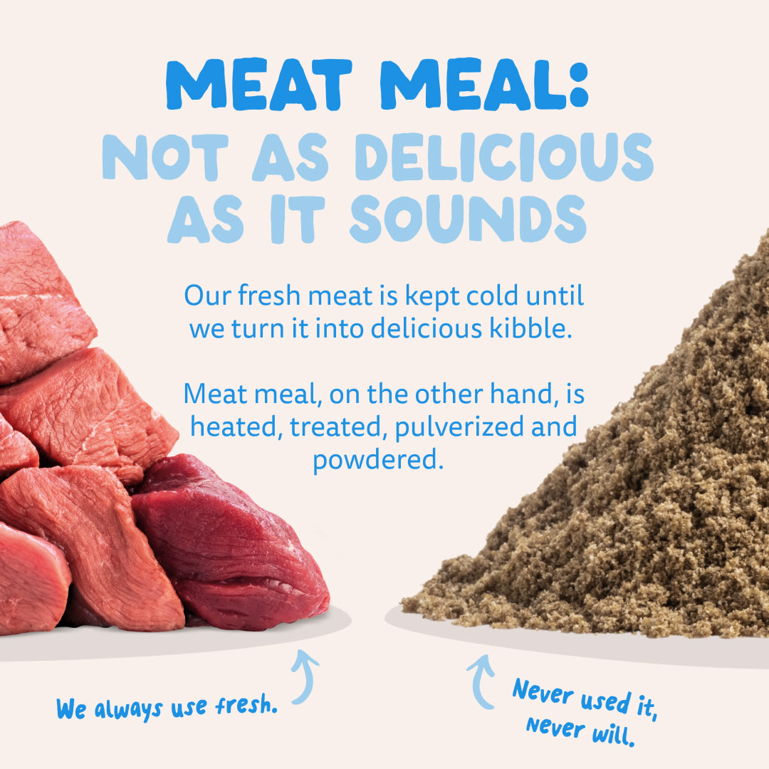 11 Dog-Refresh DTC-Assets Adult-Salmon MEAT-VS-MEAT MEAL