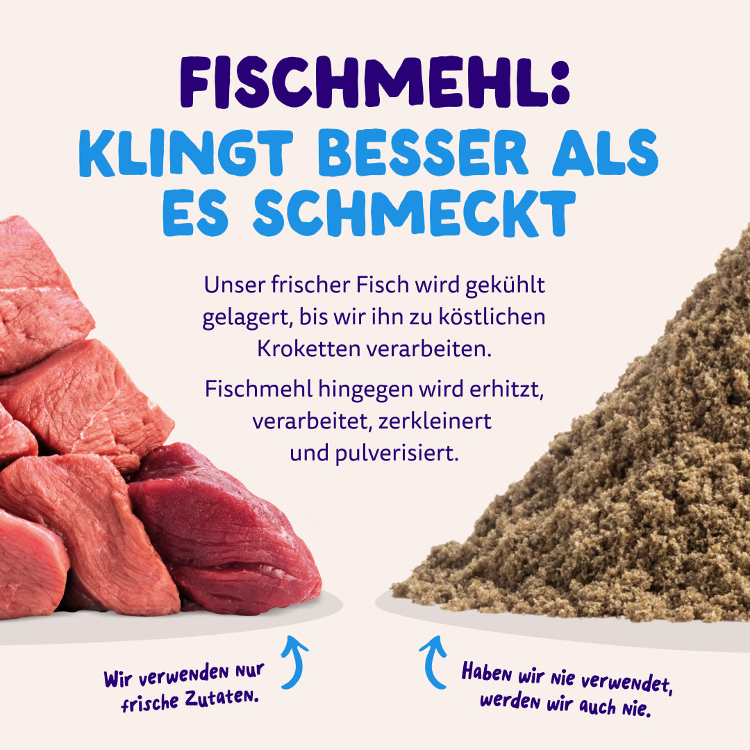 11 Dog-Refresh DTC-Assets DE Adult-Salmon MEAT-VS-MEAT MEAL