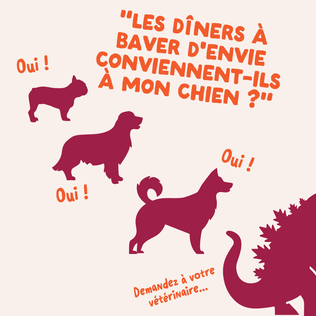 6 DWD D2C FR Chicken Size