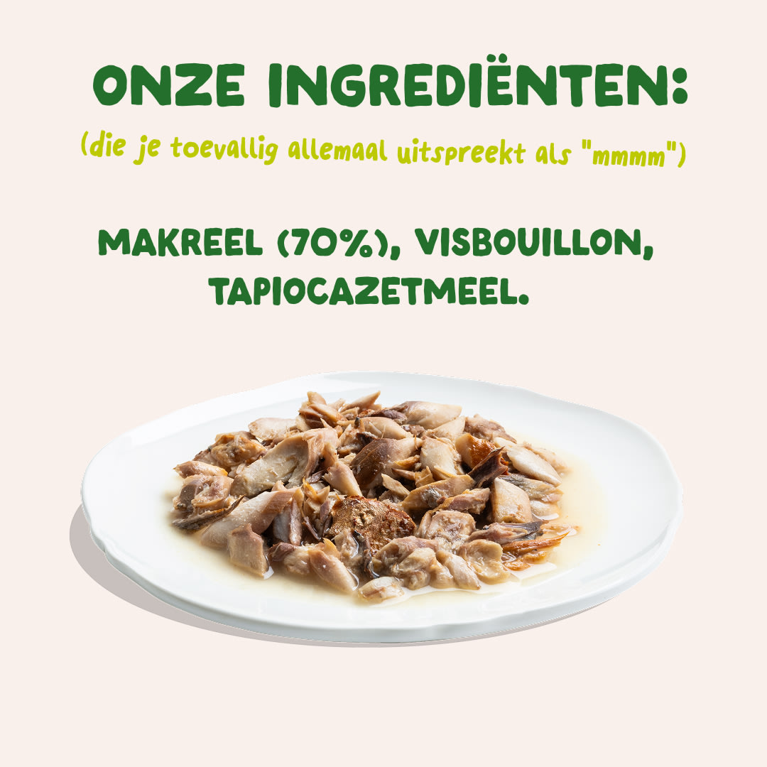 7 Cat-Fillets DTC NL MackerelNatural Ingredients