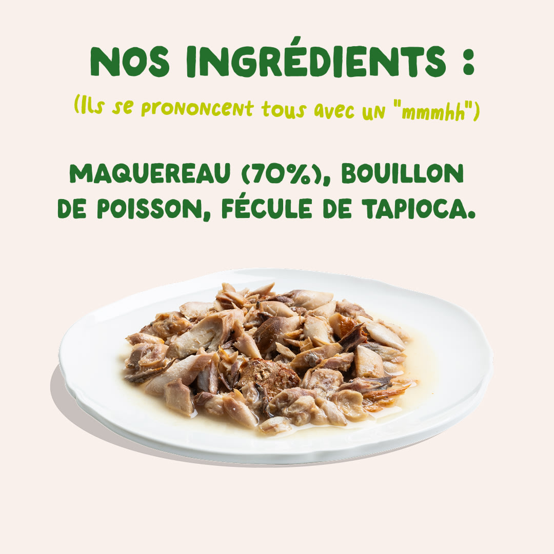 7 Cat-Fillets DTC FR MackerelNatural Ingredients